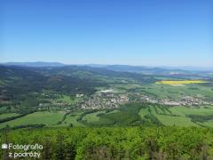 IMG_7443.jpg