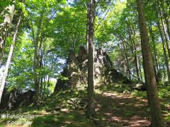 IMG_7474.jpg