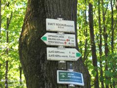 IMG_7486.jpg