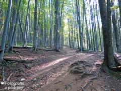 IMG_9049.jpg
