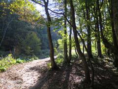 IMG_9059.jpg