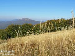 IMG_9073.jpg