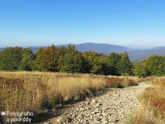 IMG_9075.jpg