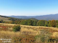 IMG_9078.jpg