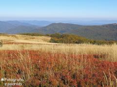 IMG_9080.jpg