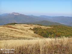 IMG_9090.jpg