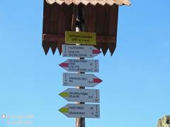 IMG_7519.jpg