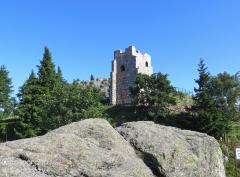 IMG_7528.jpg