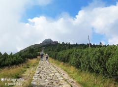 IMG_7548.jpg