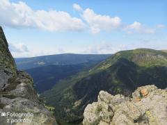 IMG_7811.jpg
