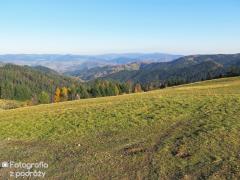 IMG_9450.jpg