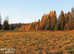 IMG_9485.jpg