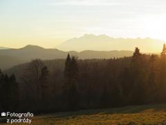 IMG_9492.jpg
