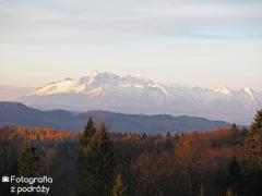 IMG_9637.jpg