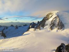 IMG_7916.jpg
