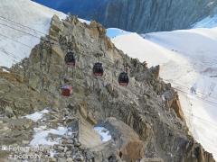 IMG_7980.jpg