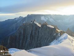 IMG_7984.jpg