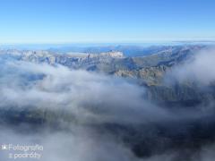IMG_8081.jpg