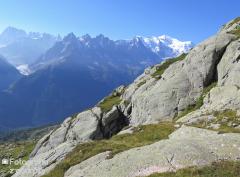 IMG_8295.jpg