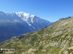 IMG_8319.jpg