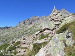 IMG_8328.jpg
