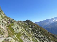 IMG_8329.jpg