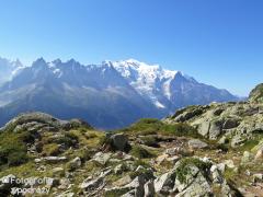 IMG_8341.jpg