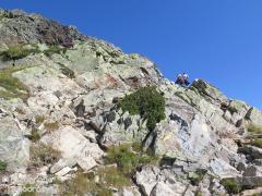 IMG_8342.jpg