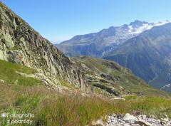 IMG_8346.jpg