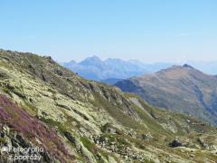 IMG_8351.jpg