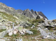 IMG_8355.jpg