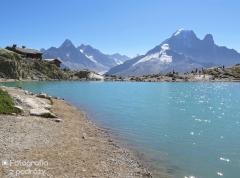 IMG_8369.jpg