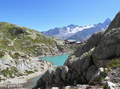 IMG_8388.jpg