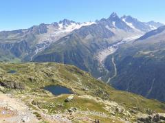 IMG_8419.jpg