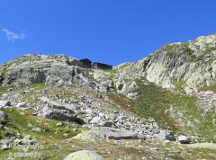 IMG_8430.jpg