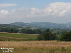 IMG_2369.jpg