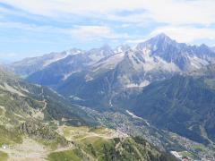 IMG_8597.jpg