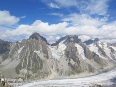 IMG_8678.jpg