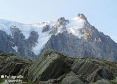 IMG_8781.jpg