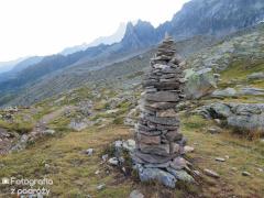 IMG_8782.jpg