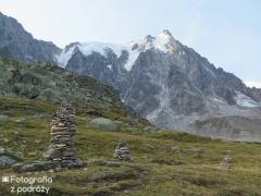 IMG_8783.jpg