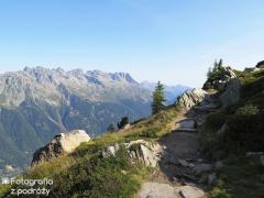 IMG_8808.jpg