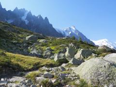 IMG_8818.jpg