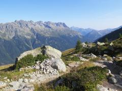 IMG_8820.jpg