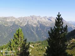 IMG_8827.jpg