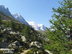 IMG_8828.jpg