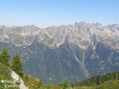 IMG_8829.jpg