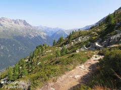 IMG_8844.jpg