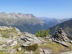 IMG_8854.jpg