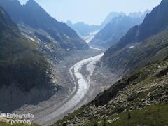 IMG_8862.jpg